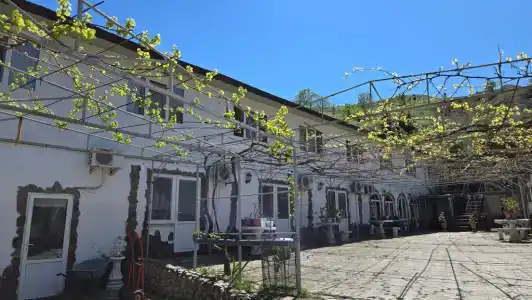 Горная Лаванда - 47