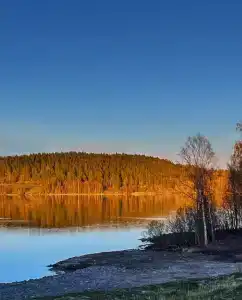 Карелия Парк - 236