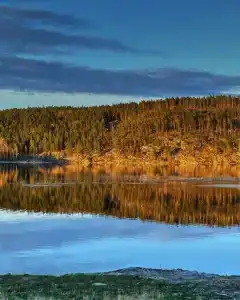 Карелия Парк - 237