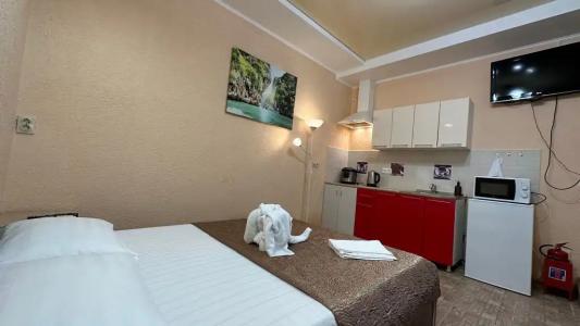 Александрия малая - 23