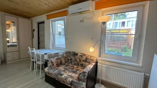 Александрия малая - 32