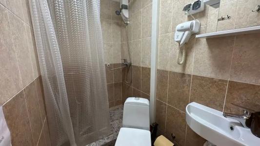 Александрия малая - 35