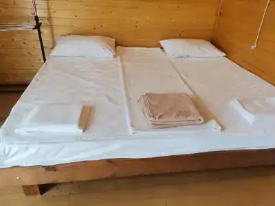 Серебристый эвкалипт - 6