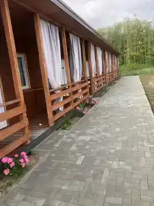 Серебристый эвкалипт - 9
