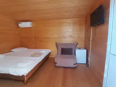 Серебристый эвкалипт - 14