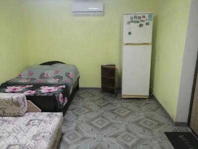 Пальмира - 31