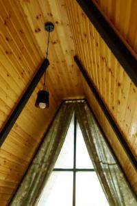 Богдарня - 44