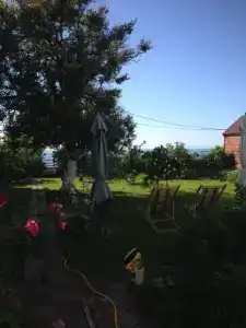 Райский уголок - 3