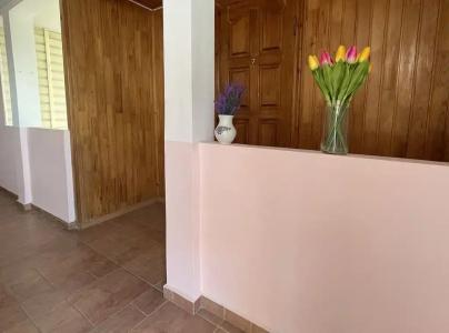 Алла-Рома - 209