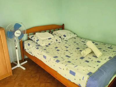 Алла-Рома - 219