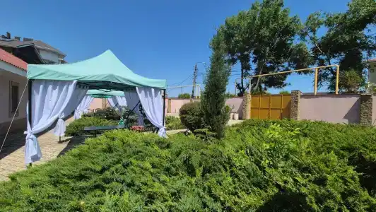 Морская звезда - 4