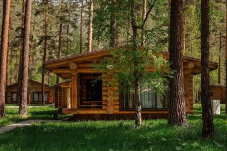 Altay Sense - 46