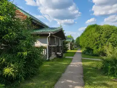 Золотая рыбка - 18