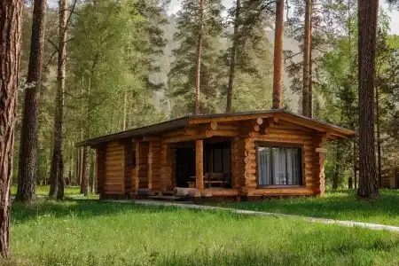 Altay Sense - 75