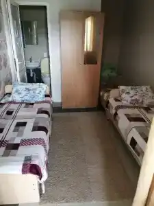 Альпийский - 29