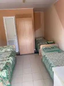 Альпийский - 30