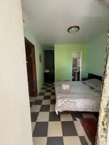 Альпийский - 38
