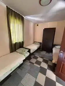 Альпийский - 40