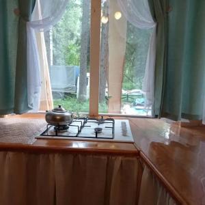 Жива Алтая - 11