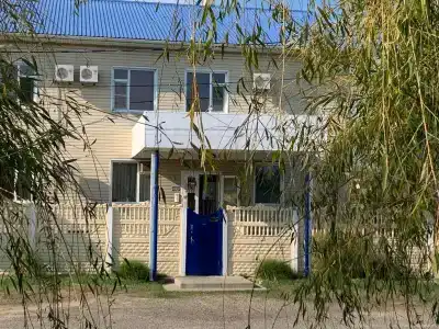 Дельфин - 2