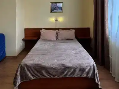 Дельфин - 3