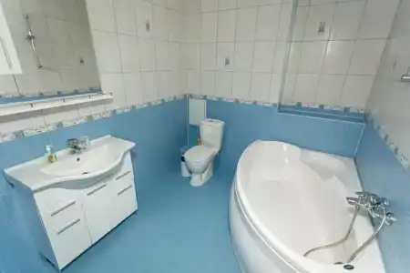Клевер - 11