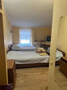 Три Льва - 15