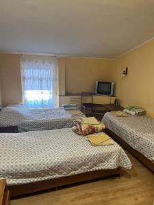 Три Льва - 14