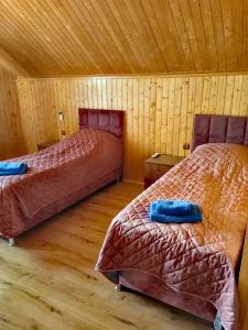 Горное тепло - 116