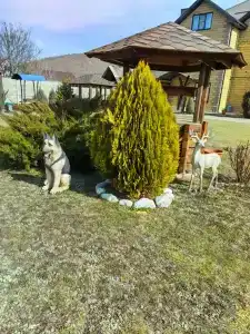 Горное тепло - 156