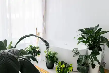 Кавказский Целитель - 129