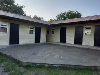 Клён - 12
