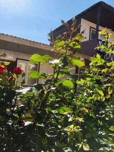 Гостевой дом на Высотной 22б - 56