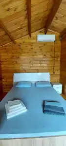 Сосновый бор - 69