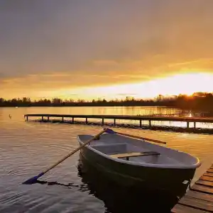 А-ферма - 41