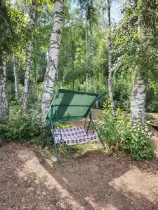 Берёзка - 157