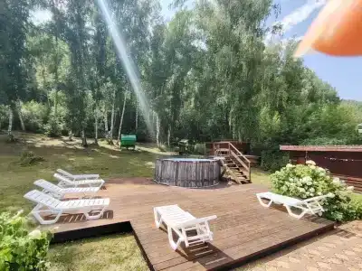 Берёзка - 160