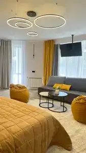 Calypte Anna - 42