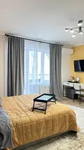 Calypte Anna - 60