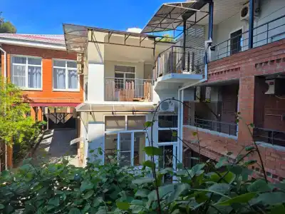 Цитрус - 223