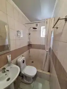 Цитрус - 237