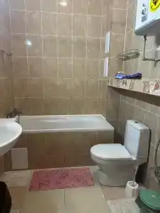 Астра - 173
