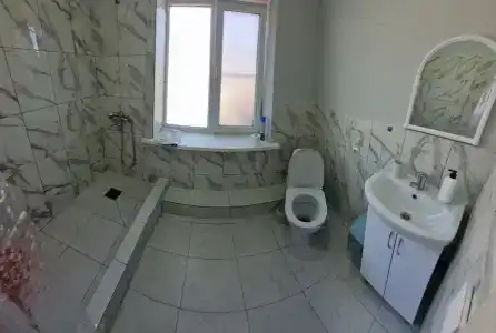 Сосны - 10