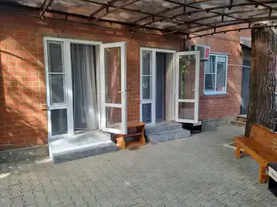 Сосны - 11