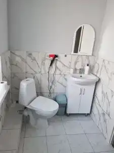Сосны - 10