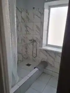 Сосны - 11