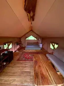 Лагонаки Глэмп - 116