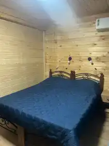 Ежевика - 31