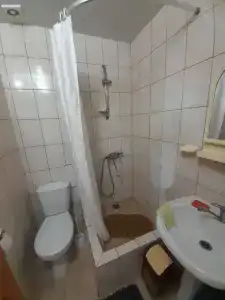 Виста - 19