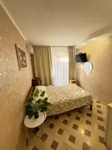 Викинг - 9